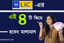 Best LIC Policy Plan