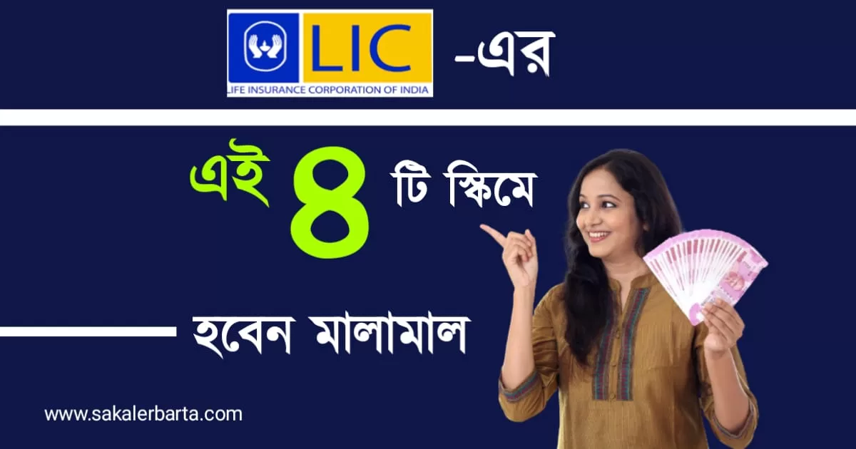 Best LIC Policy Plan